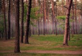 世界举重康复示范基地维护与智能化运维实践报告发布，世界举重比赛现场视频
